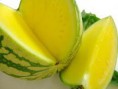 /products/sandia-amarilla/